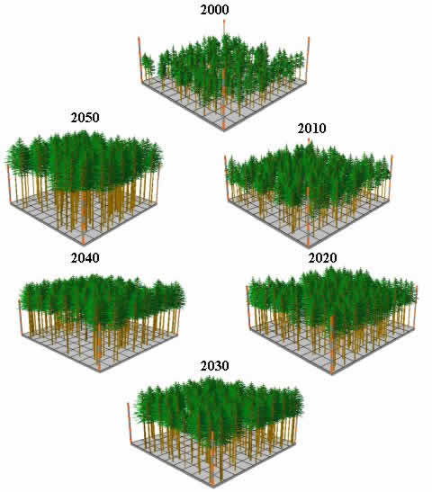 Untitled Document [landscapemanagementsystem.org]